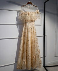 Tulle Lace Long Prom Dress, Formal Dress S5964