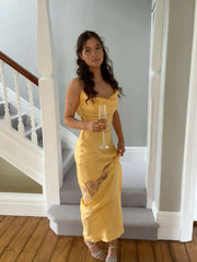 Sexy Spaghetti Strap Party Dress Backless Women Formal Dresses S6234
