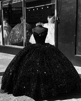 Quinceanera Dress Sweet 15/16 Birthday Party Gown Winter Formal Dress S7169
