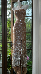 Champagne pink halter neck fitted waist sequined long ball gown R7640